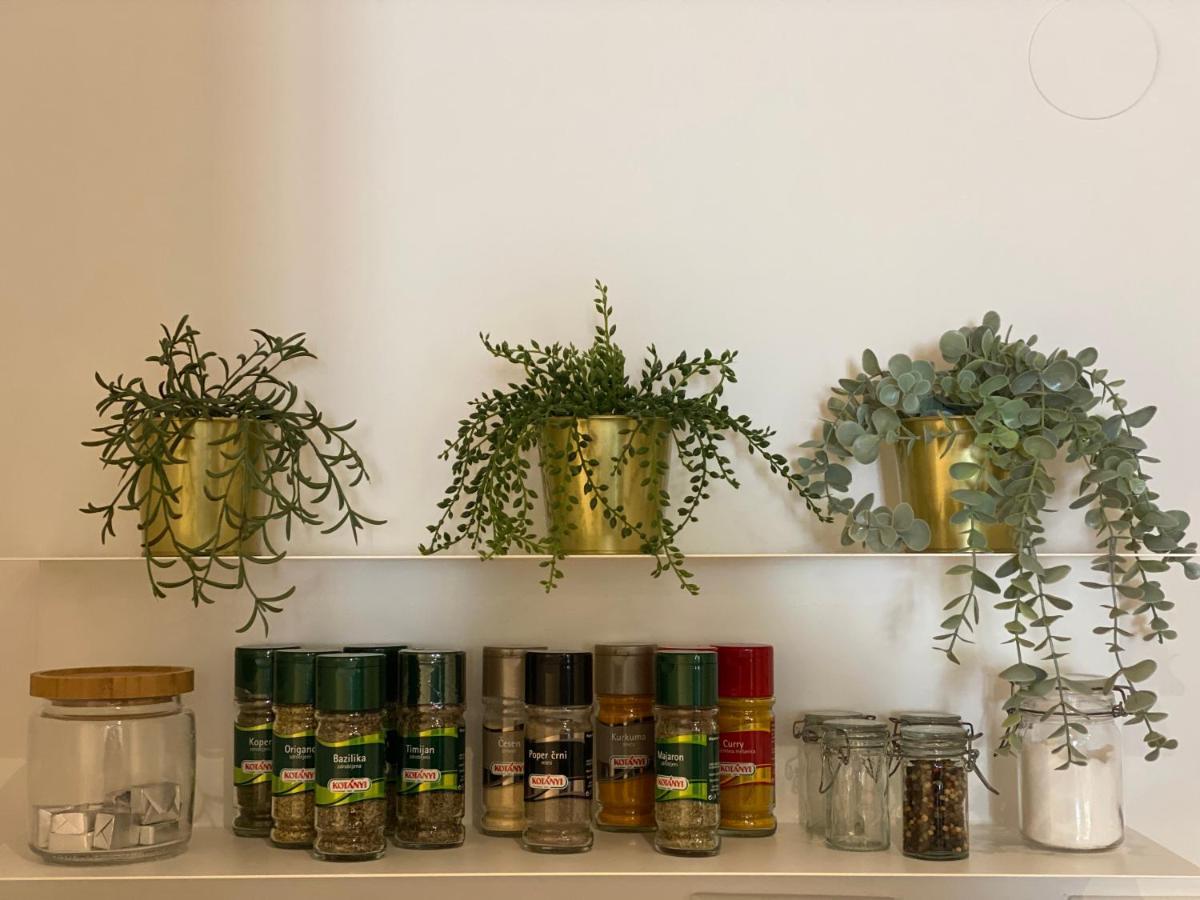 Green Corner Of Bovec - Apartment 보베츠 외부 사진